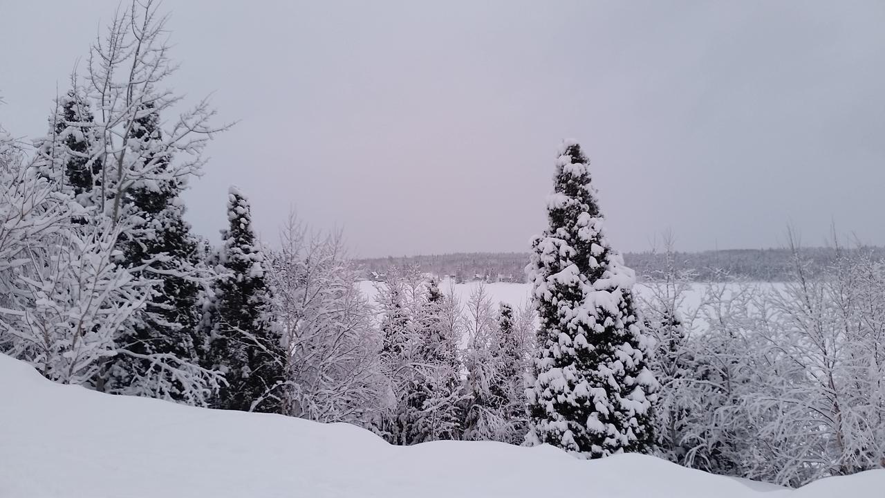 Residence Touristique Lodge Des Bois Saint-Félix-d'Otis Eksteriør bilde